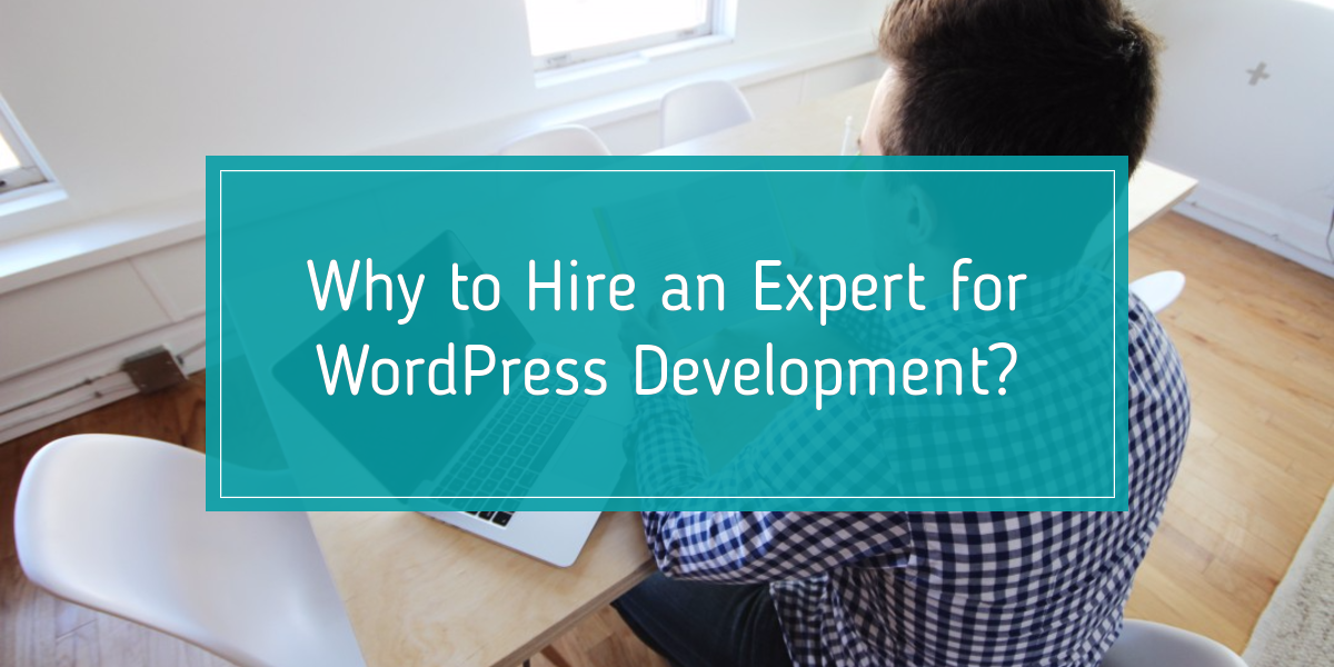 Why You Should Hire a WordPress Expert (Not a Generalist)