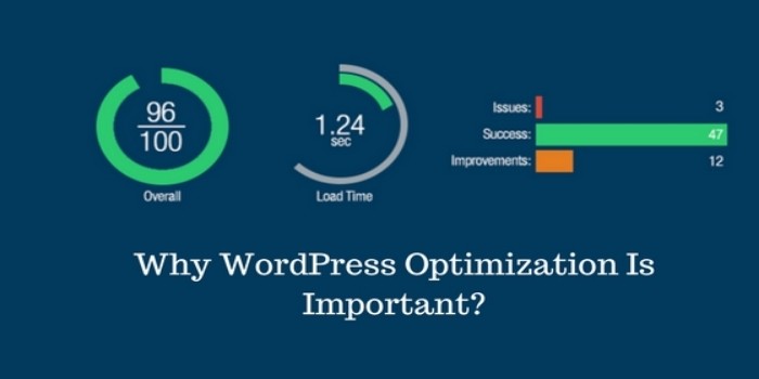 The Right Approach of Website Optimization in WordPress