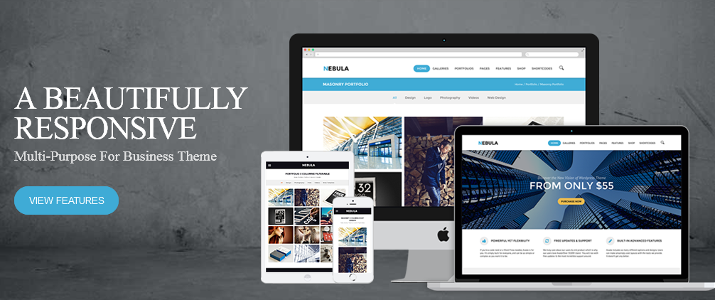 Corporate WordPress Theme